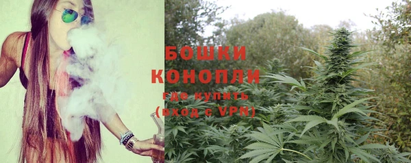 мяу мяу мука Бородино